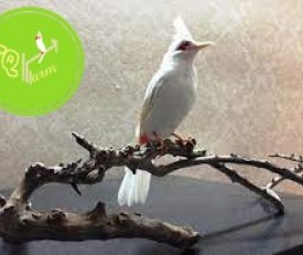 Mồng 1 tết 2024 ? chúc cả nhà vui vẽ nhé.